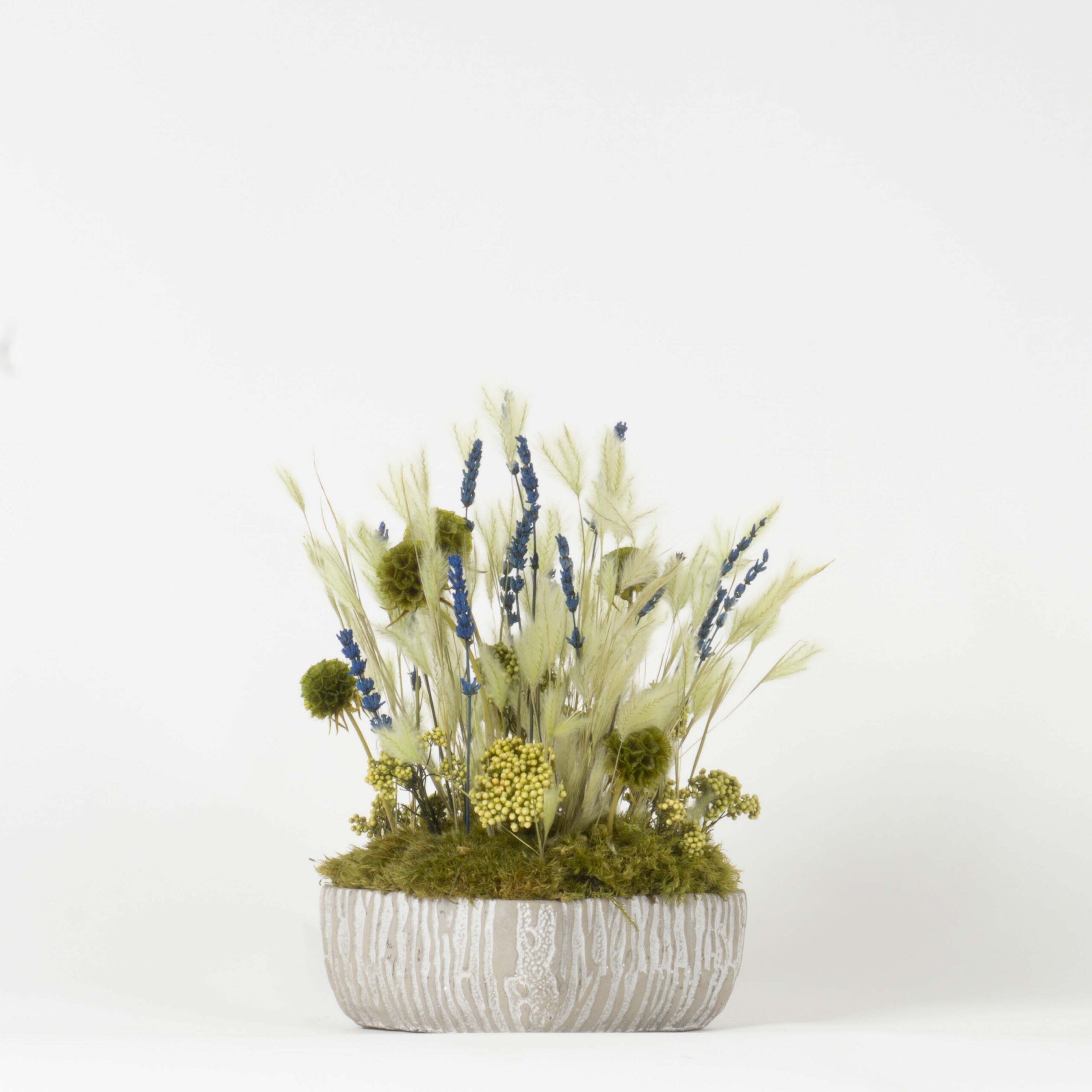 Cubo Light Green - immagine 2