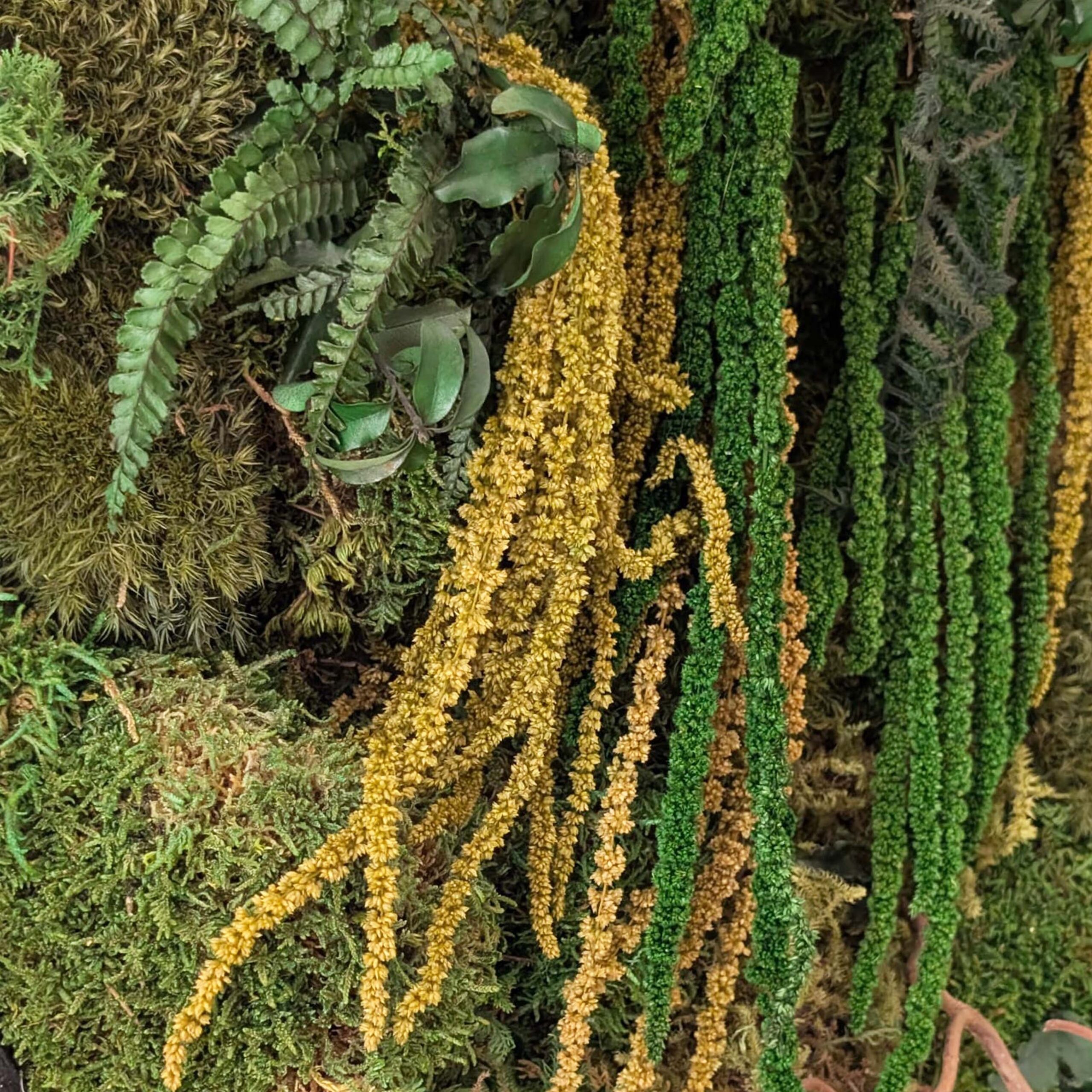Quadro Bosco in fiore - immagine 3