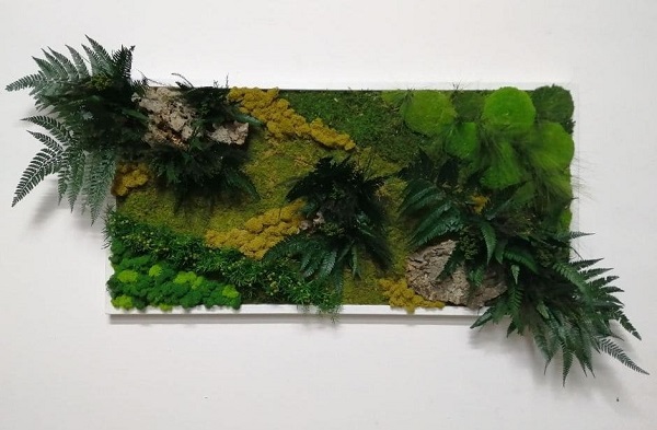 Quadro con fogliame stabilizzato, muschio e licheni.