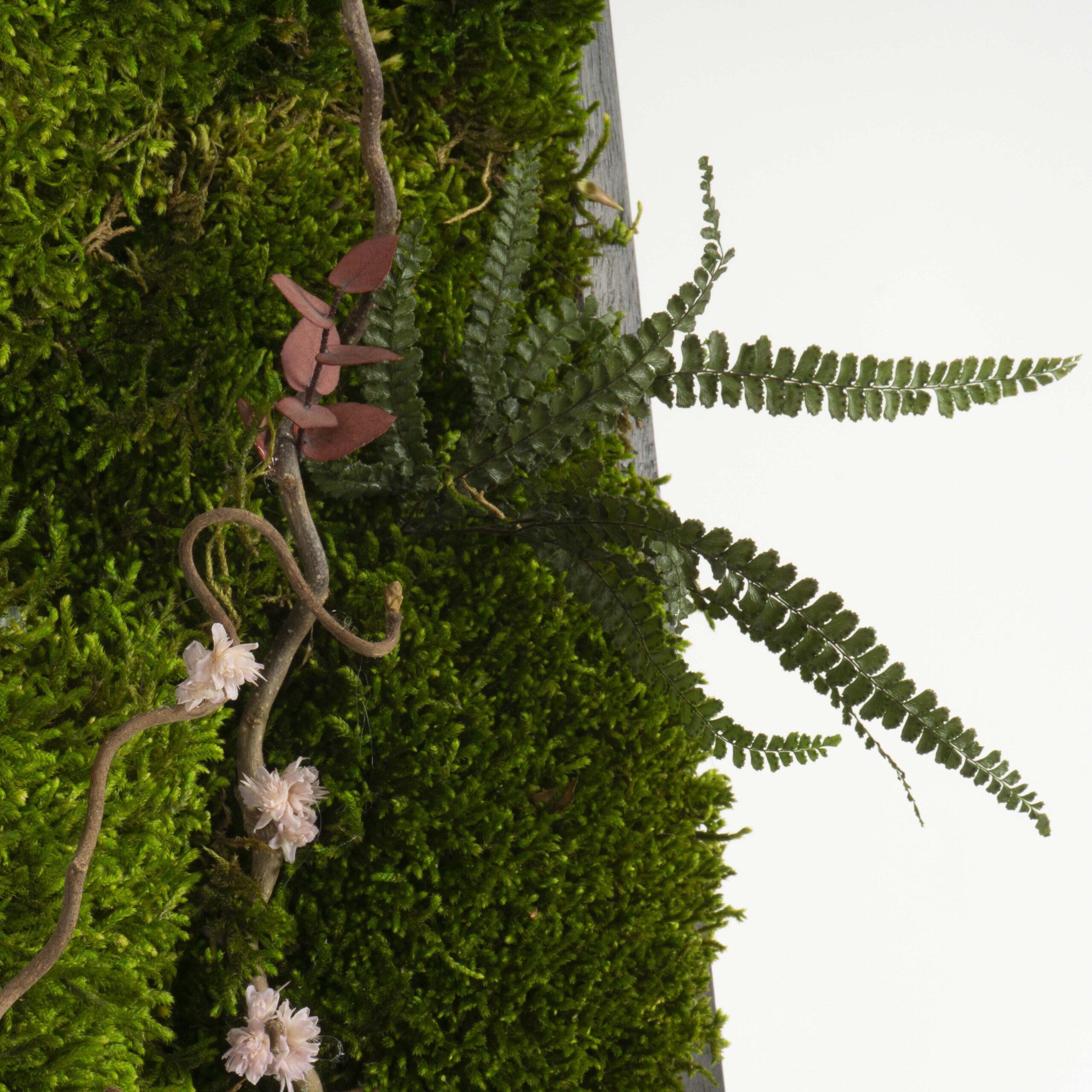 Quadro Ramo in Fiore - immagine 3