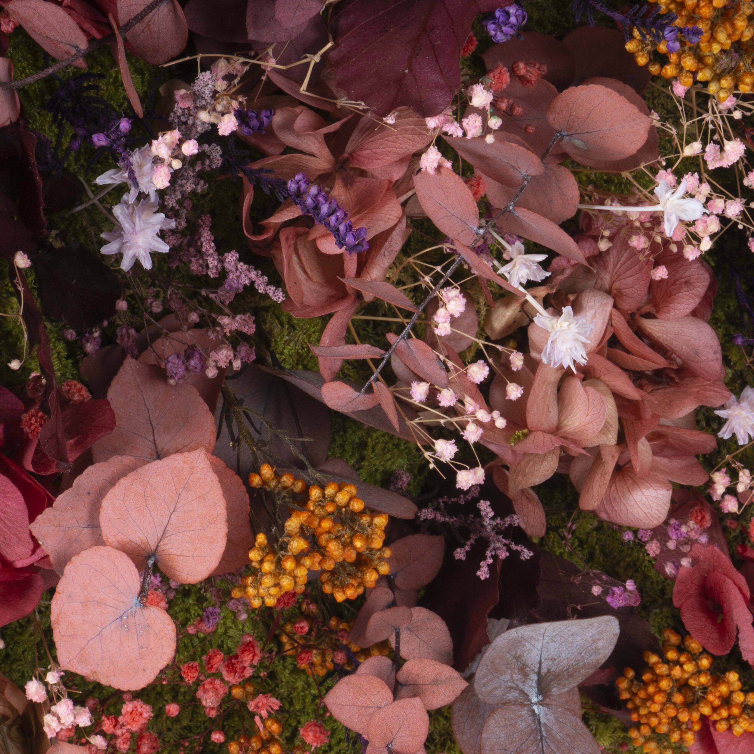 Quadro Fiori di Primavera - immagine 3
