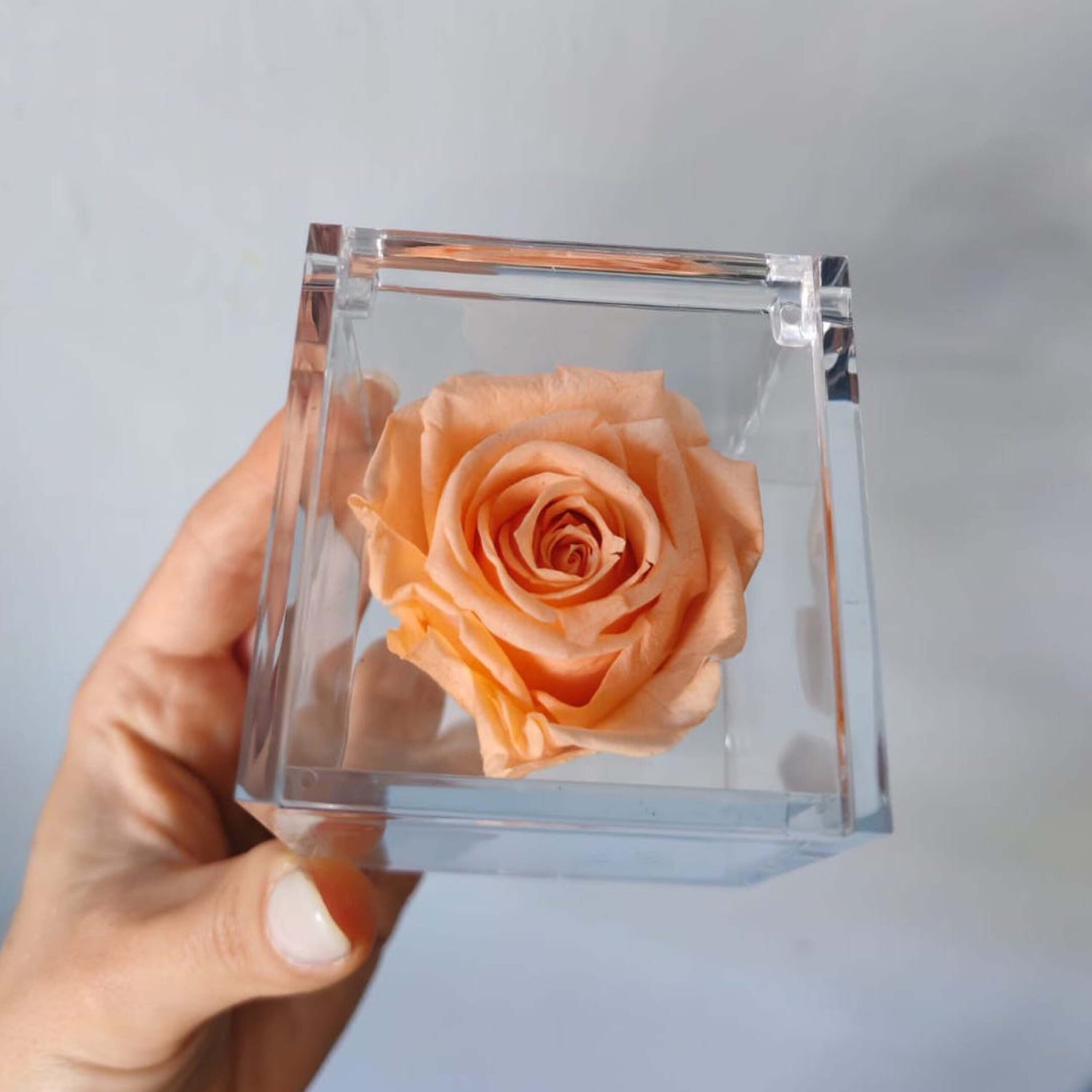 Bomboniera Box Rosa pesca stabilizzata