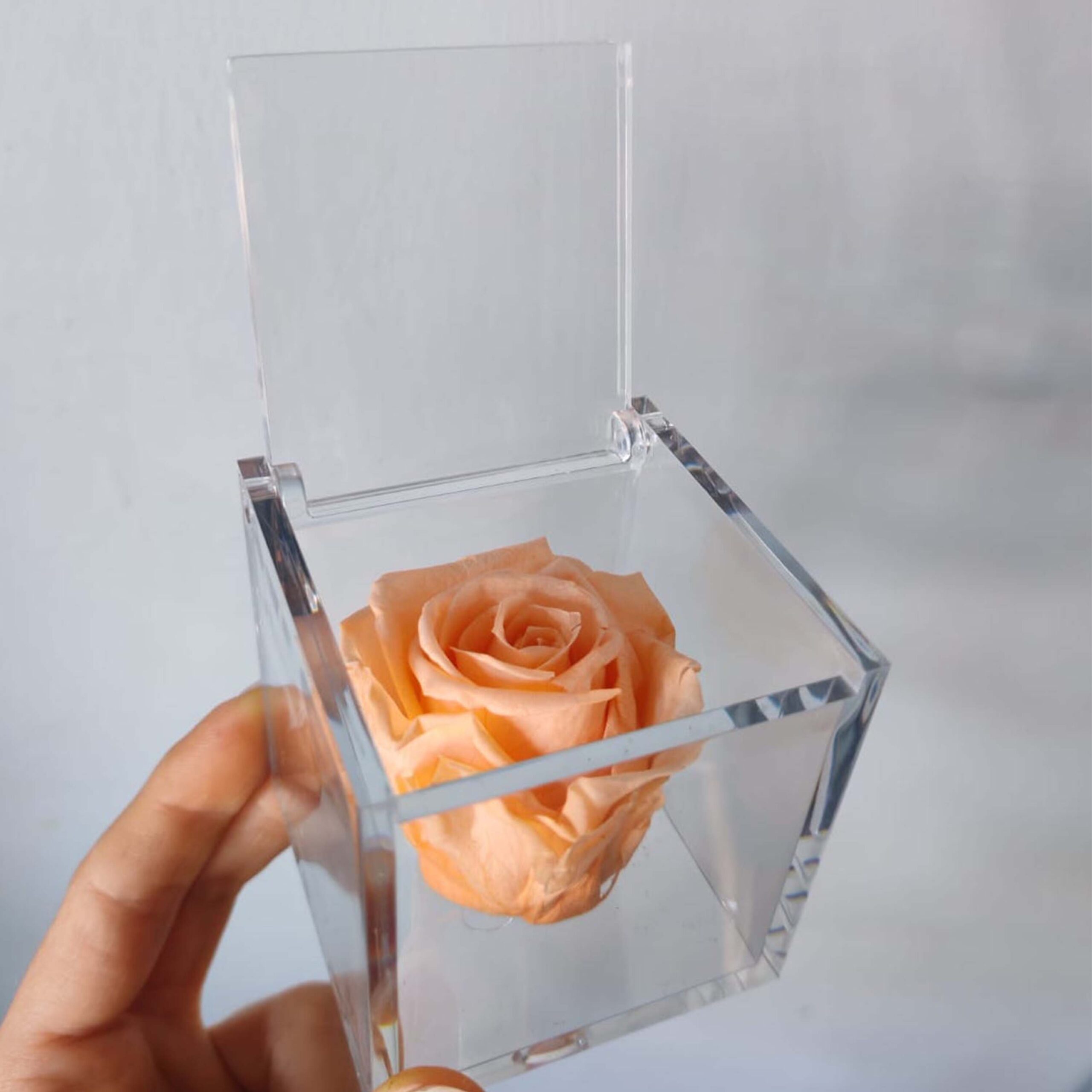 Bomboniera Box Rosa pesca stabilizzata - immagine 3