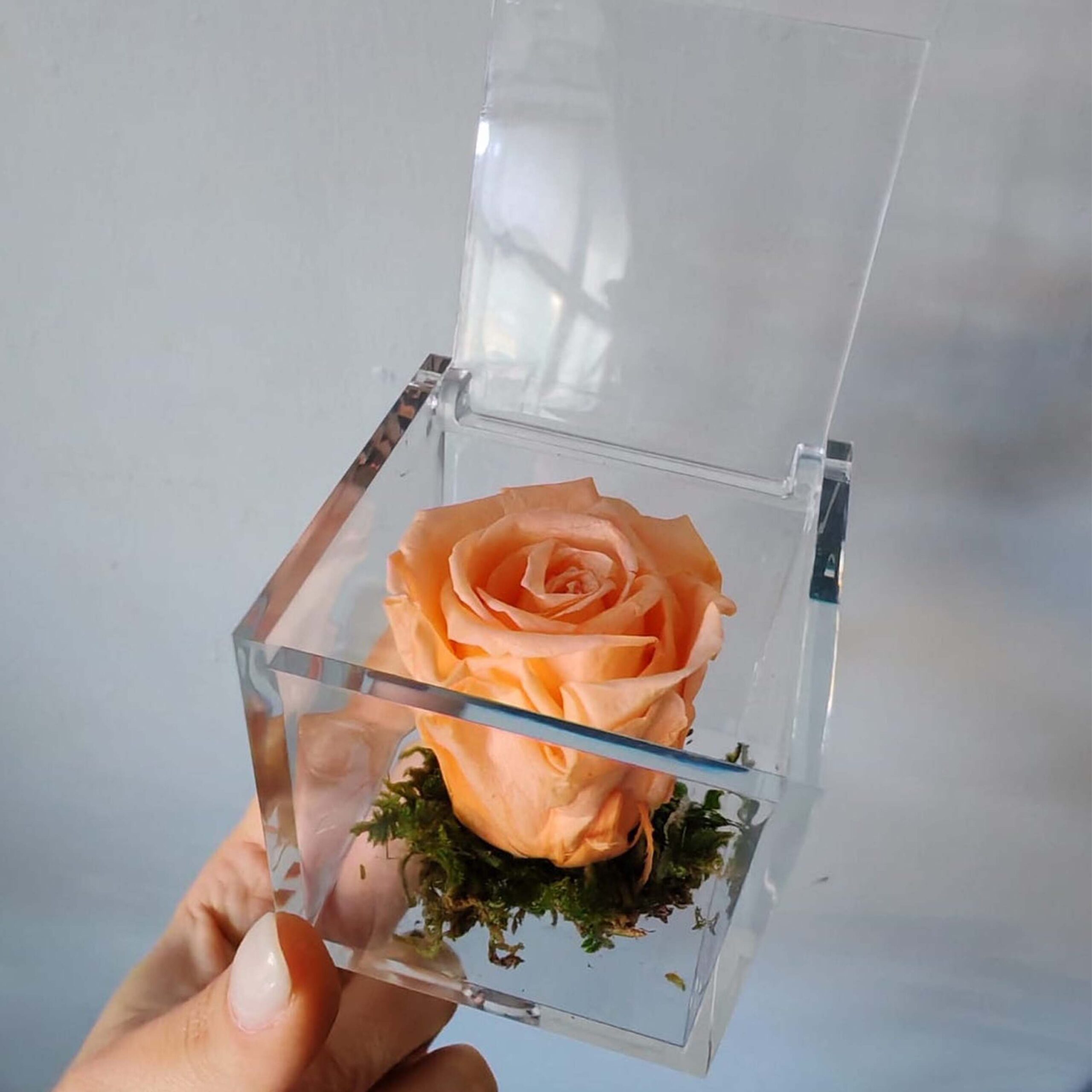 Bomboniera Box Rosa pesca stabilizzata - immagine 4