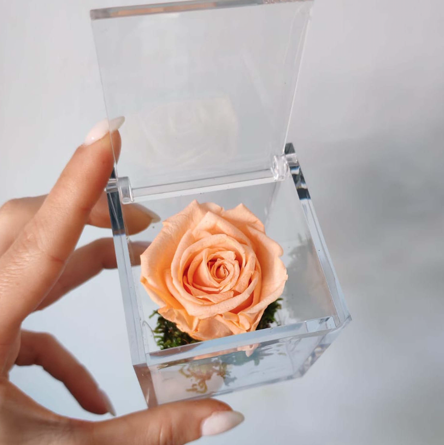 Bomboniera Box Rosa pesca stabilizzata - immagine 5