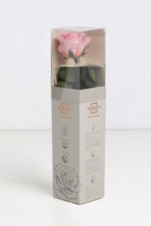 Rosa mini stelo Rosa pastello