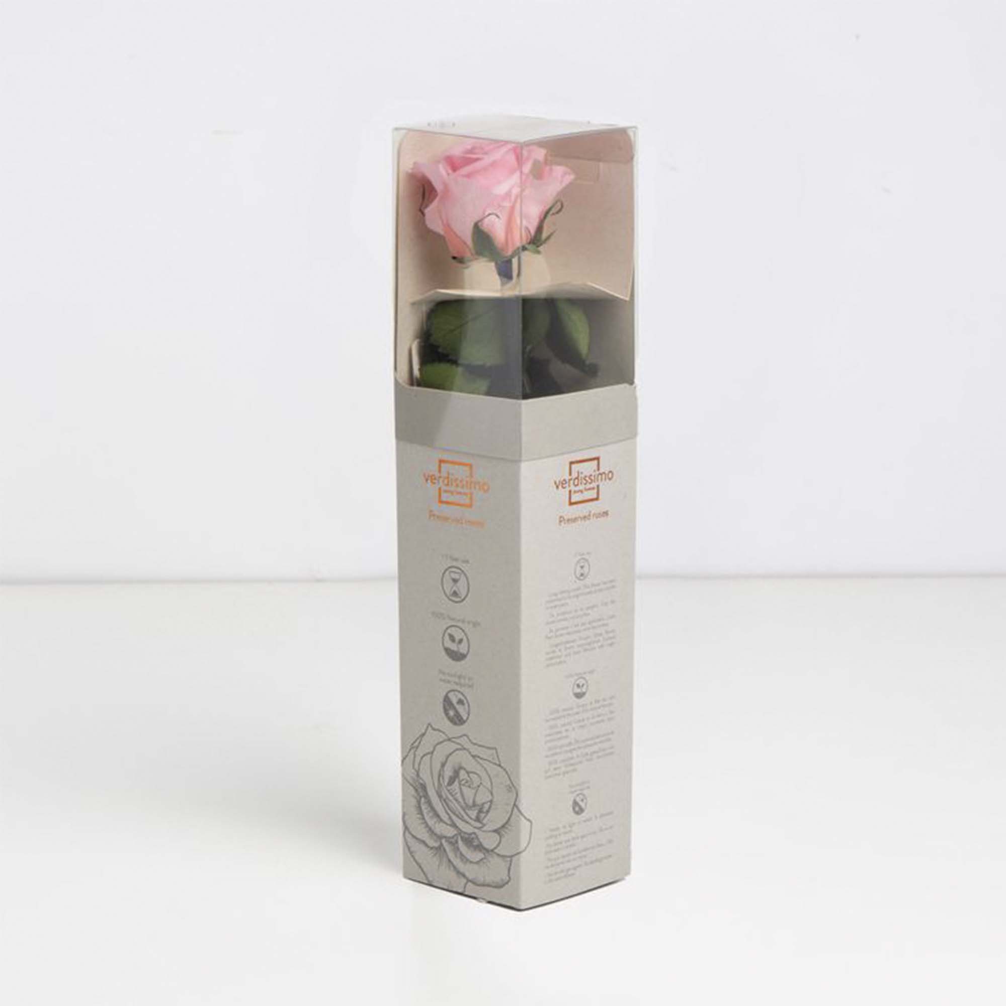 Rosa mini stelo Rosa pastello