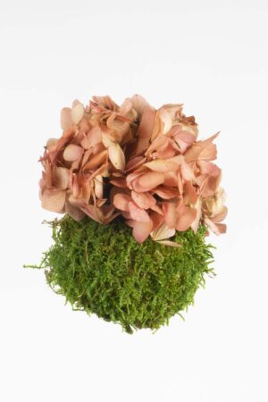 Mini Kokedama