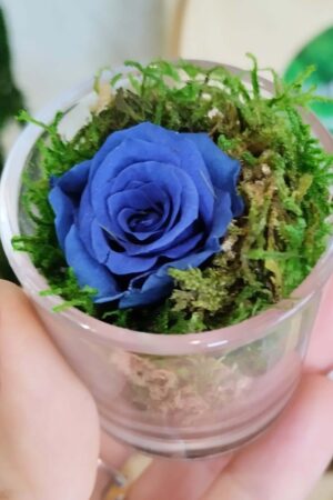 Bomboniera con Rosellina Blu