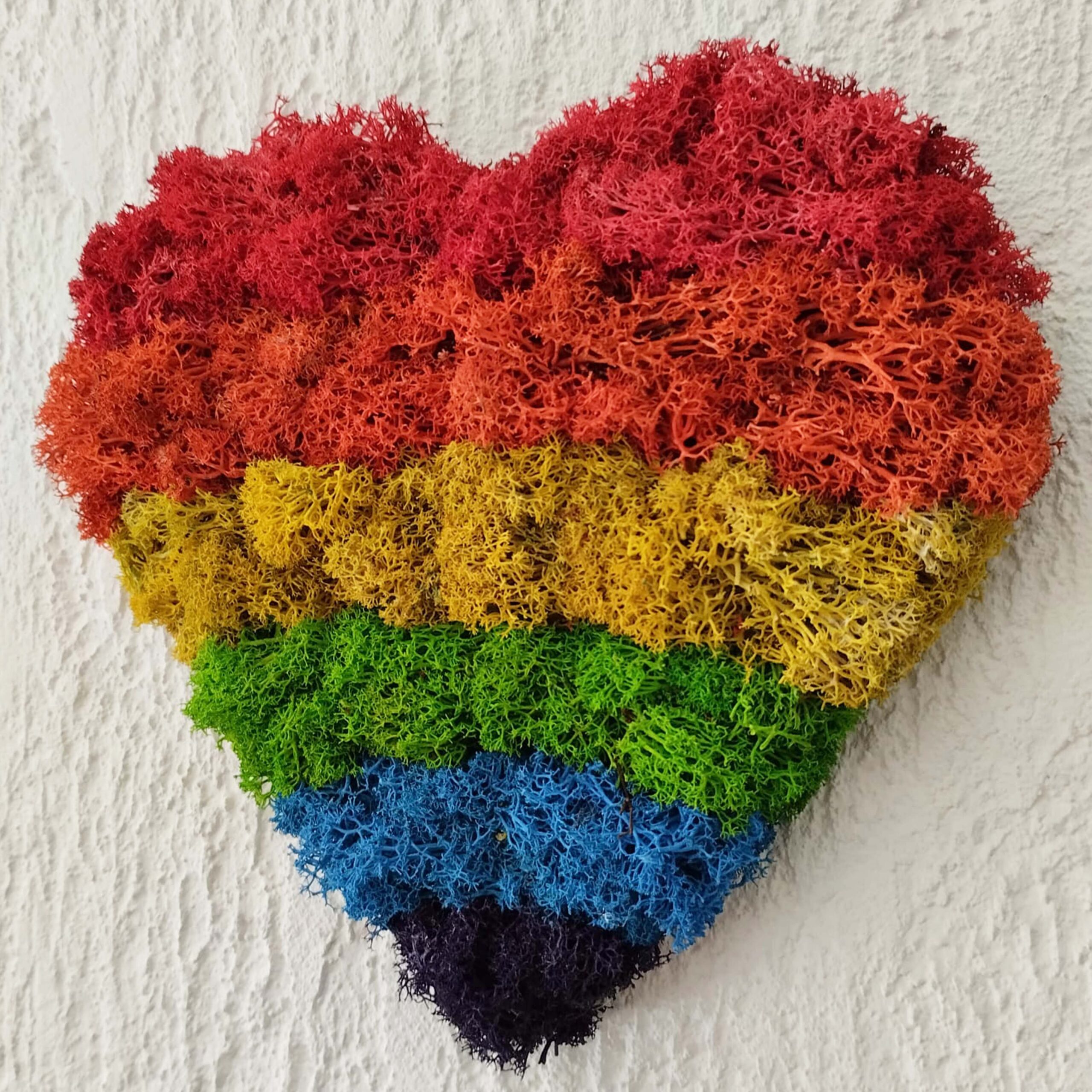 Cuore Arcobaleno - immagine 4