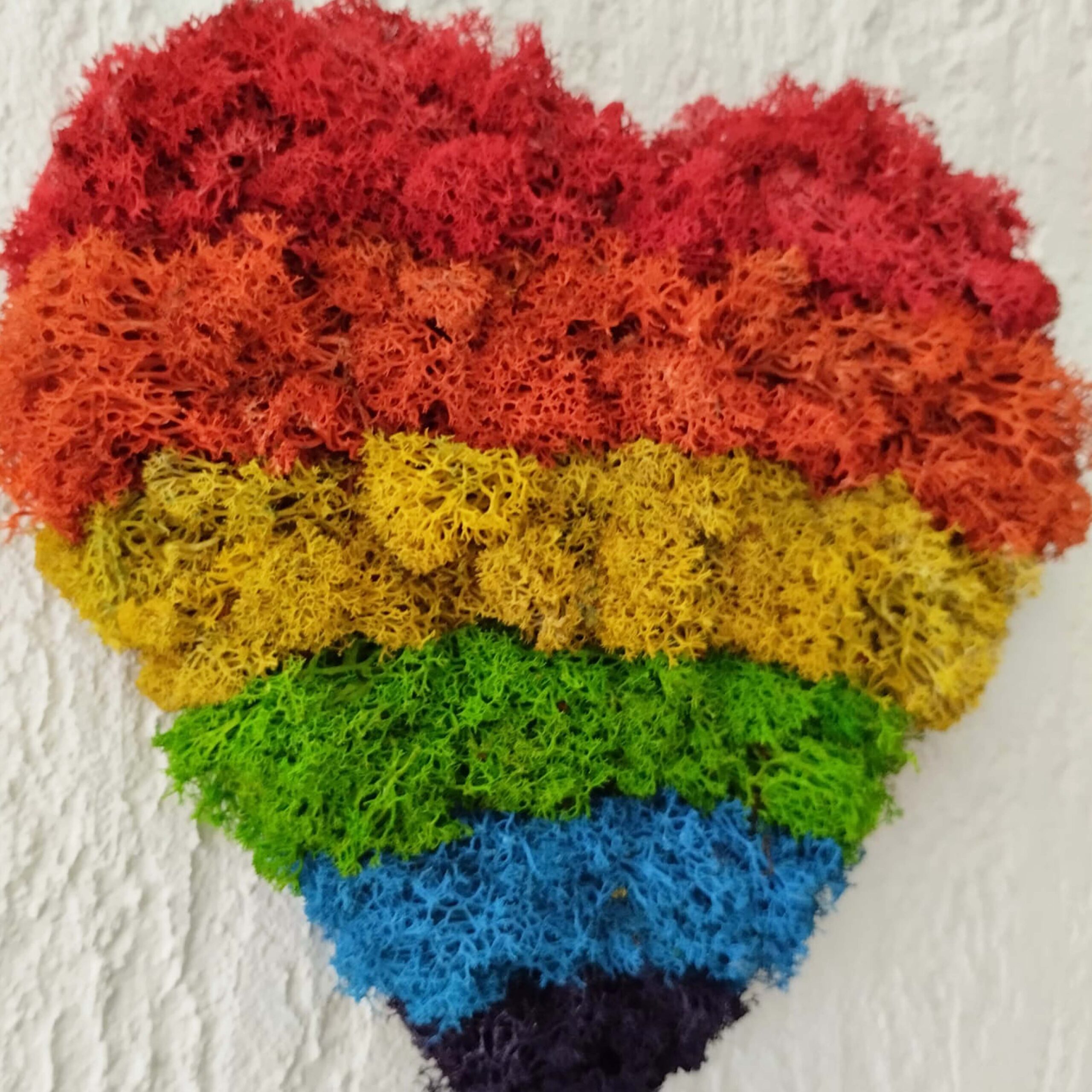 Cuore Arcobaleno - immagine 2