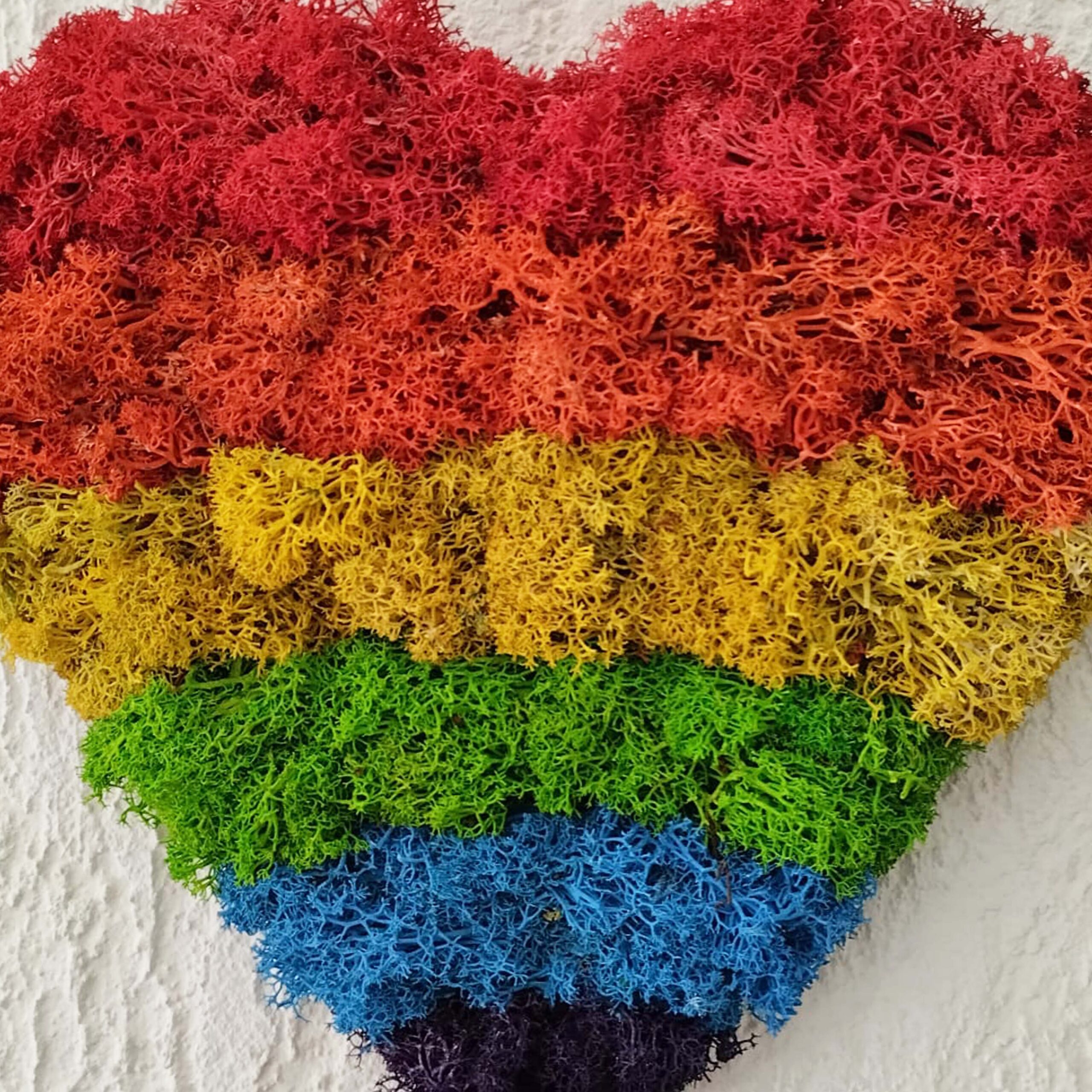 Cuore Arcobaleno - immagine 3